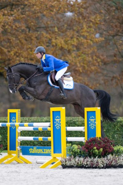 DEVIL 2000 Z - Performance breeding through and through